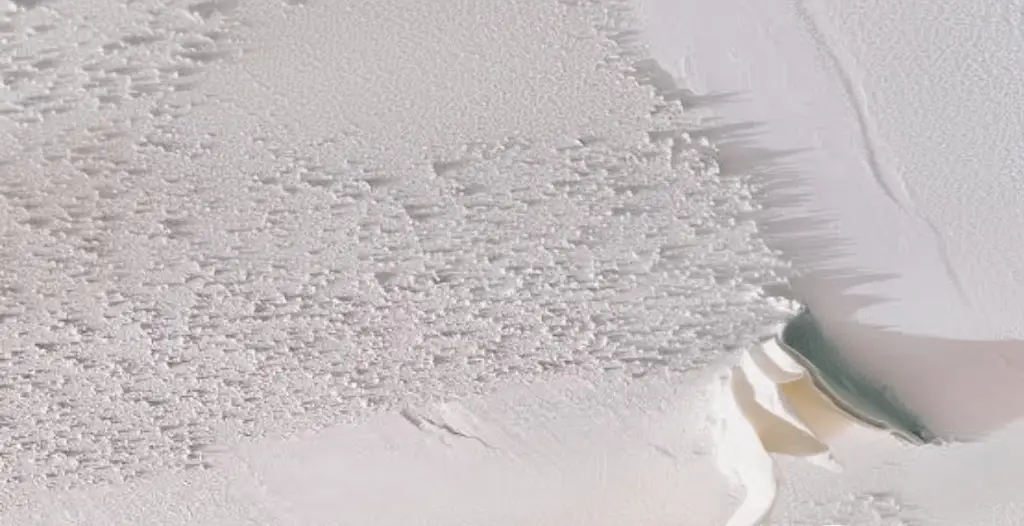 Ceiling Texture Removal & Scraping