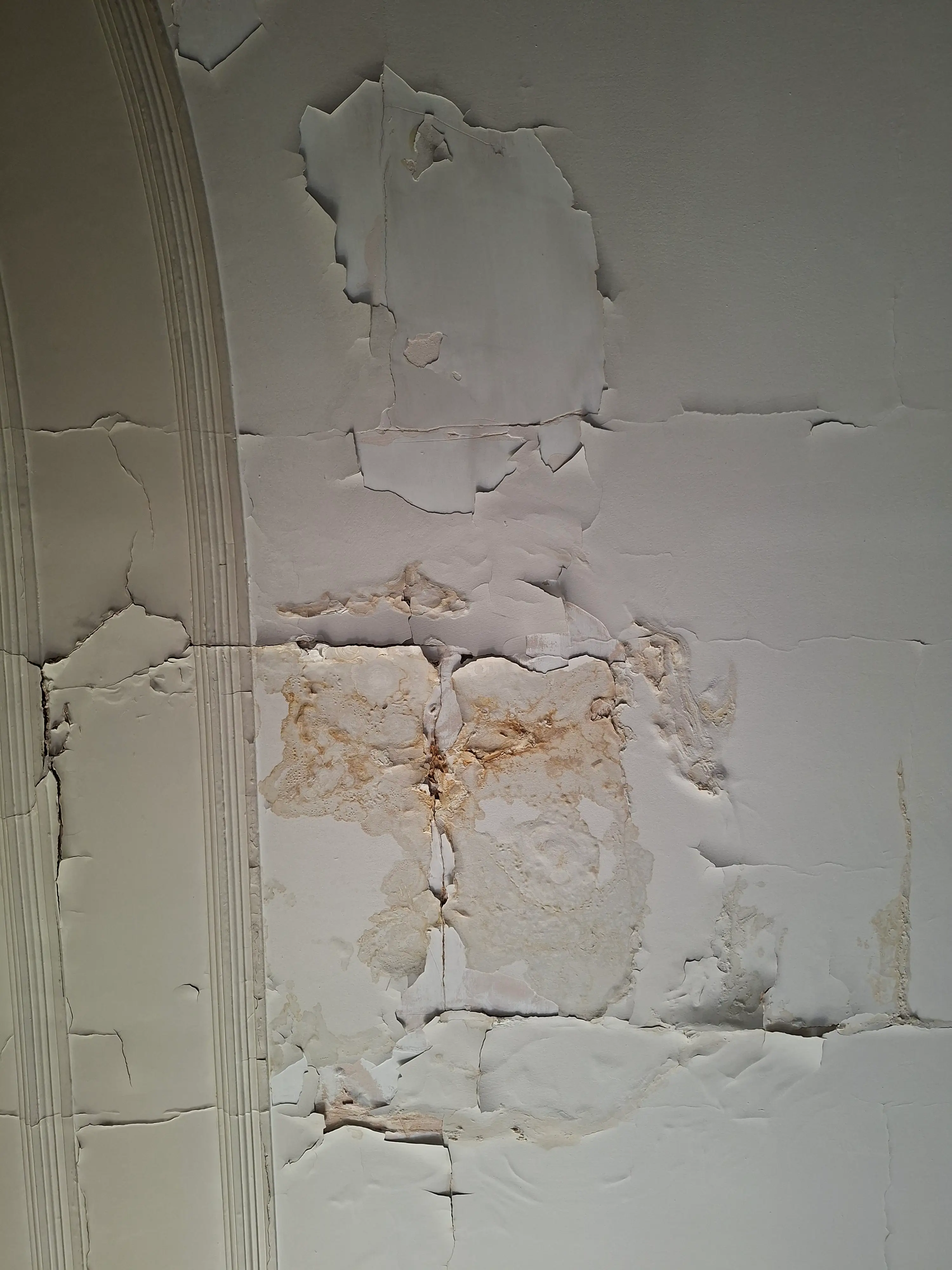 Ceiling Water Damage Repair & Drying